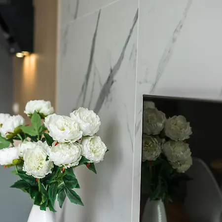 Komfortowy Apartament Z Ogrodkiem Lejlighed