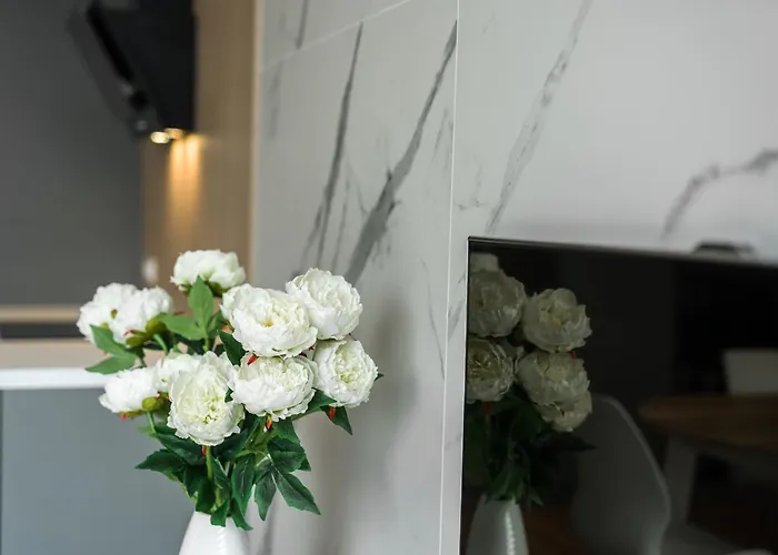 Komfortowy Apartament Z Ogrodkiem 아파트